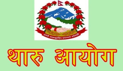 थारु आयोगमा बिदा विवाद: सदस्य शान्ति मोदीद्वारा कार्यवाहक अध्यक्षको कार्यकक्षमा तालाबन्दी - www.onlinepana.com